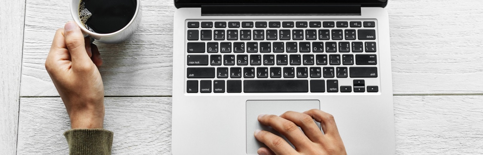 Software para realizar panel online